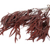 Burgundy Seeded Gum (Pennygum)