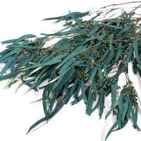 Dark Teal Blue Seeded Gum