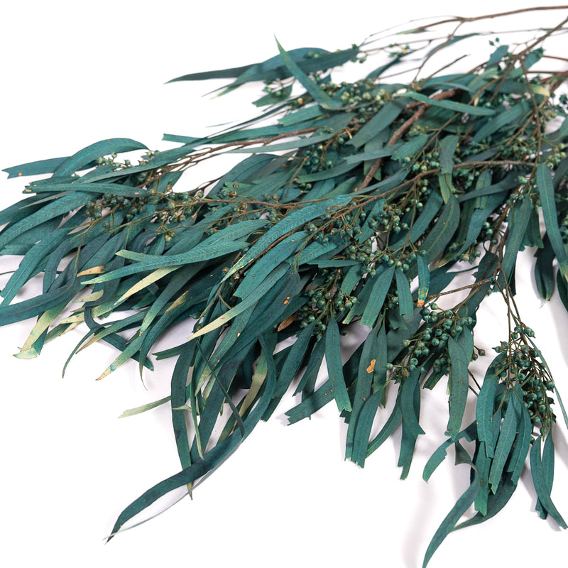 Dark Teal Blue Seeded Gum