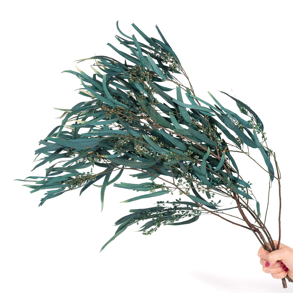 Dark Teal Blue Seeded Gum