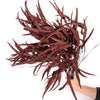 Burgundy Seeded Gum (Pennygum)
