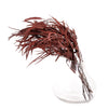 Burgundy Seeded Gum (Pennygum)