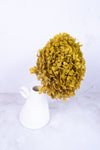 Preserved Chartreuse Hydrangea