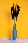 Black Mini Pampas