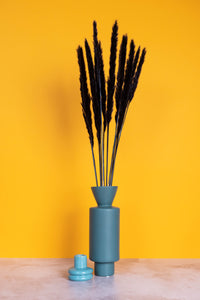 Black Mini Pampas