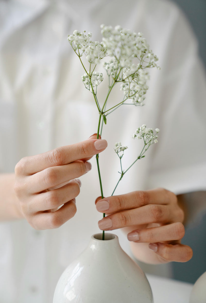 Preserved Baby's Breath / Gypsophila
