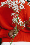 Preserved Baby's Breath / Gypsophila