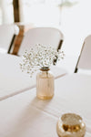Preserved Baby's Breath / Gypsophila