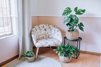 Toronto Belly Baskets (3x Sizes)