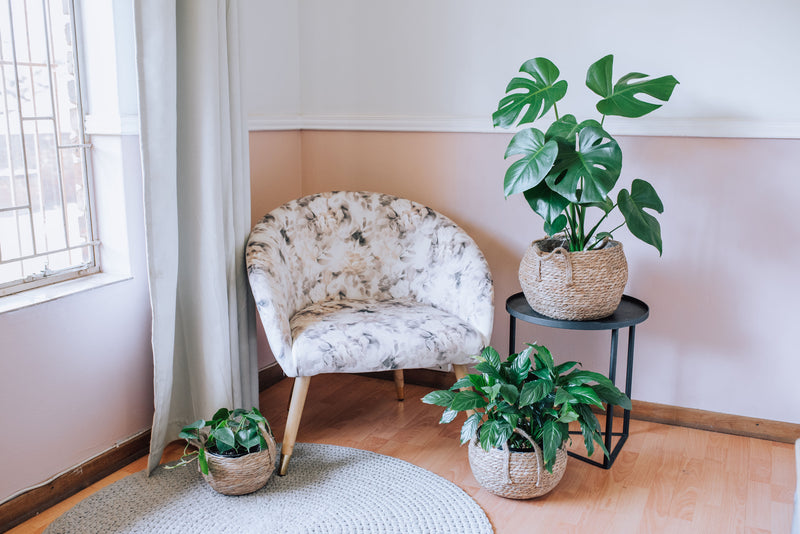 Toronto Belly Baskets (3x Sizes)