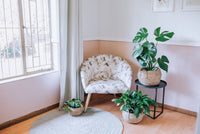 Toronto Belly Baskets (3x Sizes)
