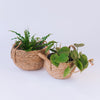 Toronto Belly Baskets (3x Sizes)