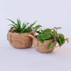 Toronto Belly Baskets (3x Sizes)
