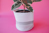 Grey Light Two-Tone Basket (Medium)