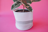 Grey Light Two-Tone Basket (Medium)