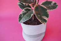 Grey Light Two-Tone Basket (Medium)