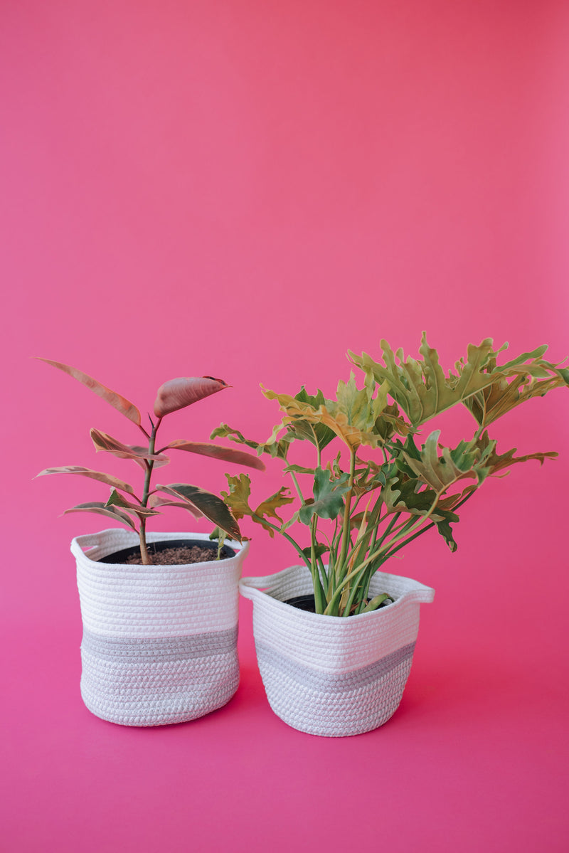 Grey Light Two-Tone Basket (Large)