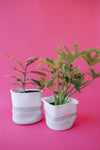 Grey Light Two-Tone Basket (Medium)