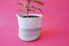 Grey Light Two-Tone Basket (Large)
