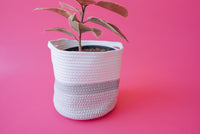 Grey Light Two-Tone Basket (Large)