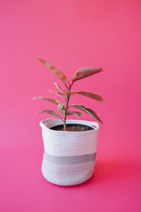 Grey Light Two-Tone Basket (Large)