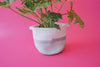 Grey Light Two-Tone Basket (Medium)