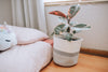 Grey Light Two-Tone Basket (Large)