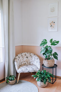 Toronto Belly Baskets (3x Sizes)
