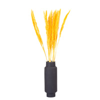 Yellow Mini Pampas