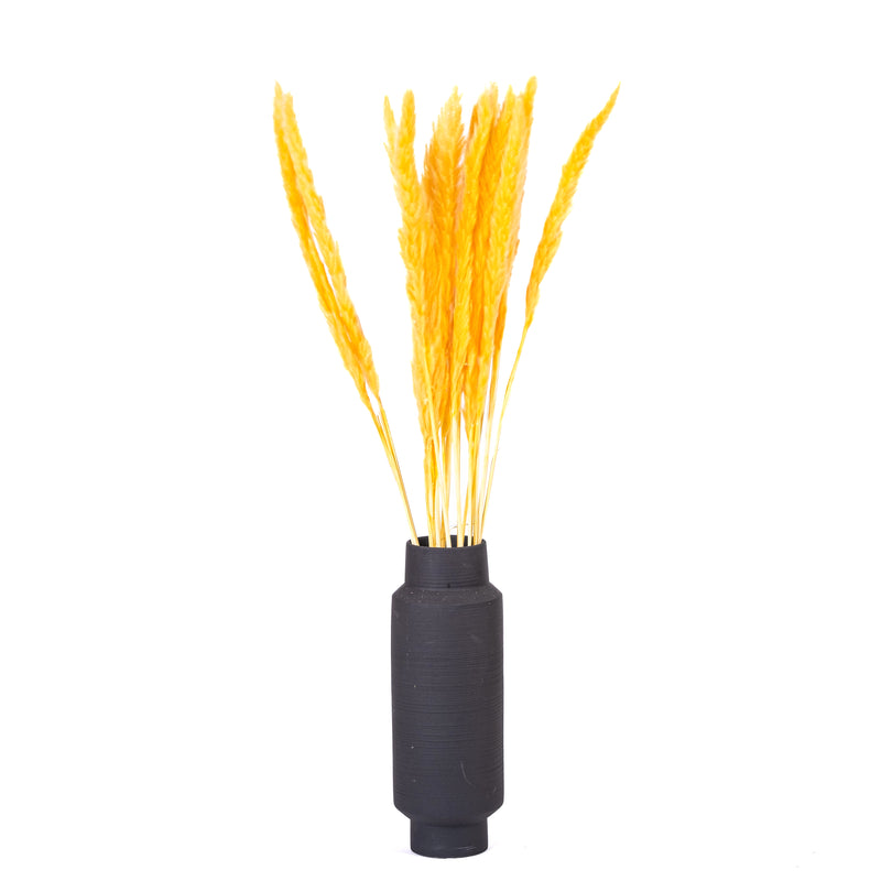 Yellow Mini Pampas