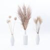 Shapely White Venice Ceramic Vase