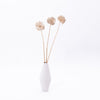 Shapely White Venice Ceramic Vase