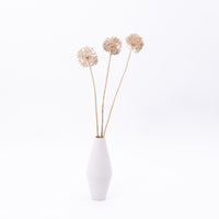 Shapely White Venice Ceramic Vase