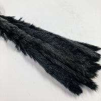 Black Mini Pampas