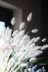 Bleached Bunny Tails