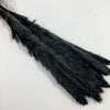 Black Mini Pampas