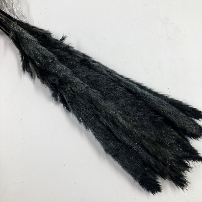 Black Mini Pampas