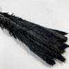 Black Mini Pampas