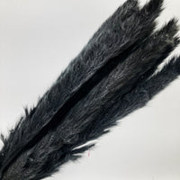 Black Mini Pampas